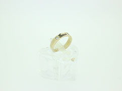 �O�b�`�w�ւ̔���