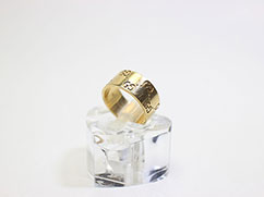 �O�b�`�w�ւ̔���