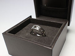 �O�b�`�w�ւ̔���