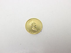 �J�i�_���C�v�����[�t1�I���X50�h�����݂̔���