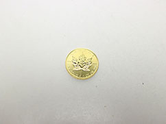 �J�i�_���C�v�����[�t1�I���X50�h�����݂̔���