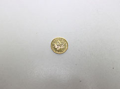 �J�i�_���C�v�����[�t1/4�I���X10�h�����݂̔���