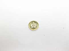 �J�i�_���C�v�����[�t1/4�I���X10�h�����݂̔���