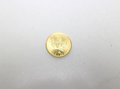 K24�J�i�_���C�v�����[�t1�I���X���݂̔���