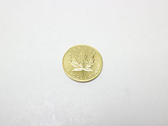 �J�i�_���C�v�����[�t1/2�I���X20�h�����݂̔���