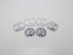 SV1000&nbsp;1�I���X��݂U���̔���