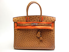 �G�����X&nbsp;�o�[�L���R�T&nbsp;�I�[�X�g���b�`&nbsp;J����̔���