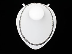 �v���`�i�̃l�b�N���X�̔���