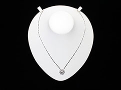 �v���`�i�̃l�b�N���X�̔���