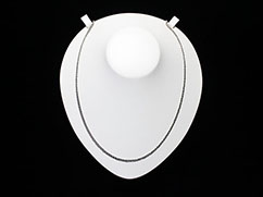 �v���`�i�̃l�b�N���X�̔���