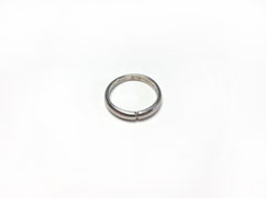 �v���`�i�̔����5