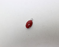 Pt900ペンダントトップ買取