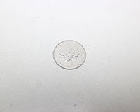 Pt1000カナダメイプルリーフ1/2オンスコイン買取