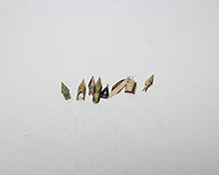 K14万年筆ペン先買取